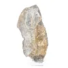 Poolse schalenblende, langwerpige plak op acrylen voet - 5