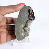 Poolse schalenblende, langwerpige plak op acrylen voet - 1