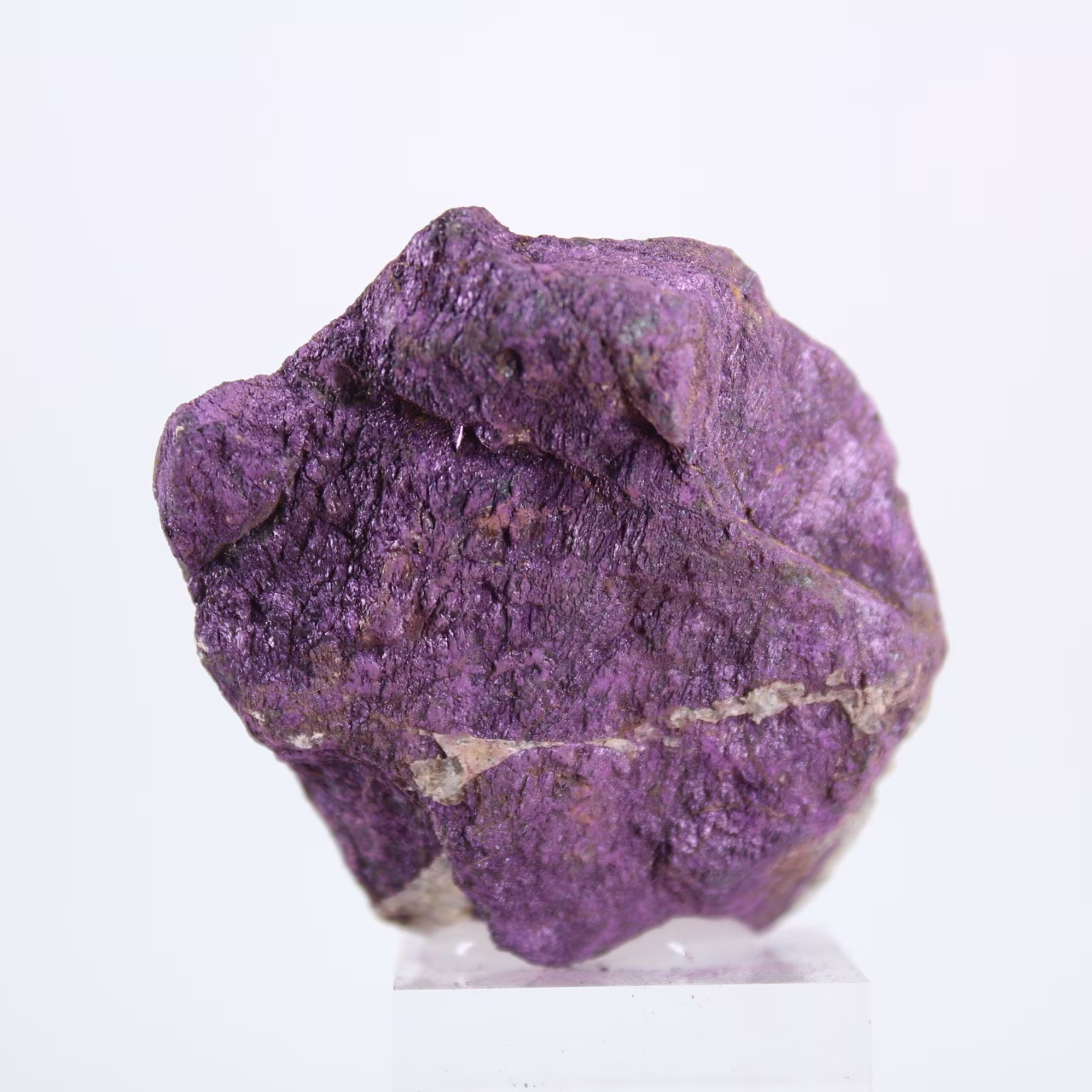 Ruwe purpuriet uit Portugal op standaard – Mineraalspecimen