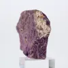 Ruwe Portugese purpuriet – Natuurlijk specimen voor verzameling - 2